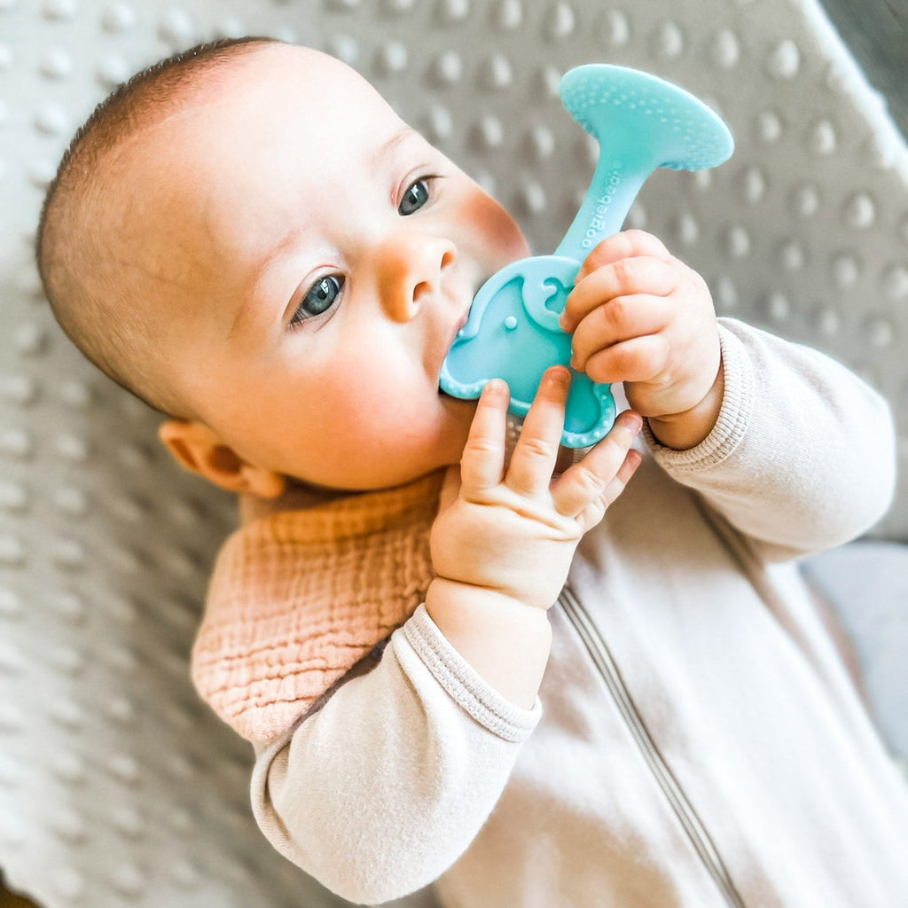 oogiebear 360° training toothbrush & teether