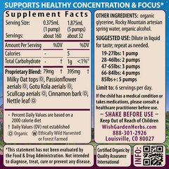 Attention Ally Focus Friend for Kids