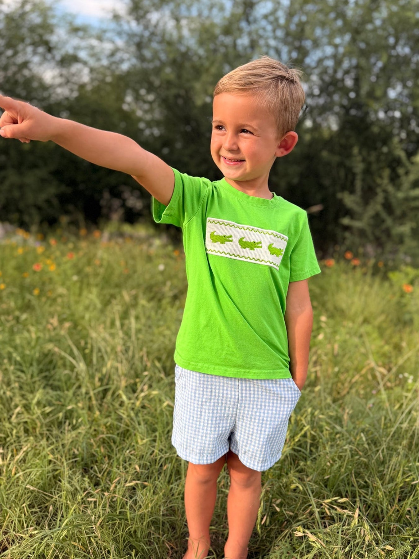 Toddler Boys Summer Crocodile Embroidered Plaid Shorts Set
