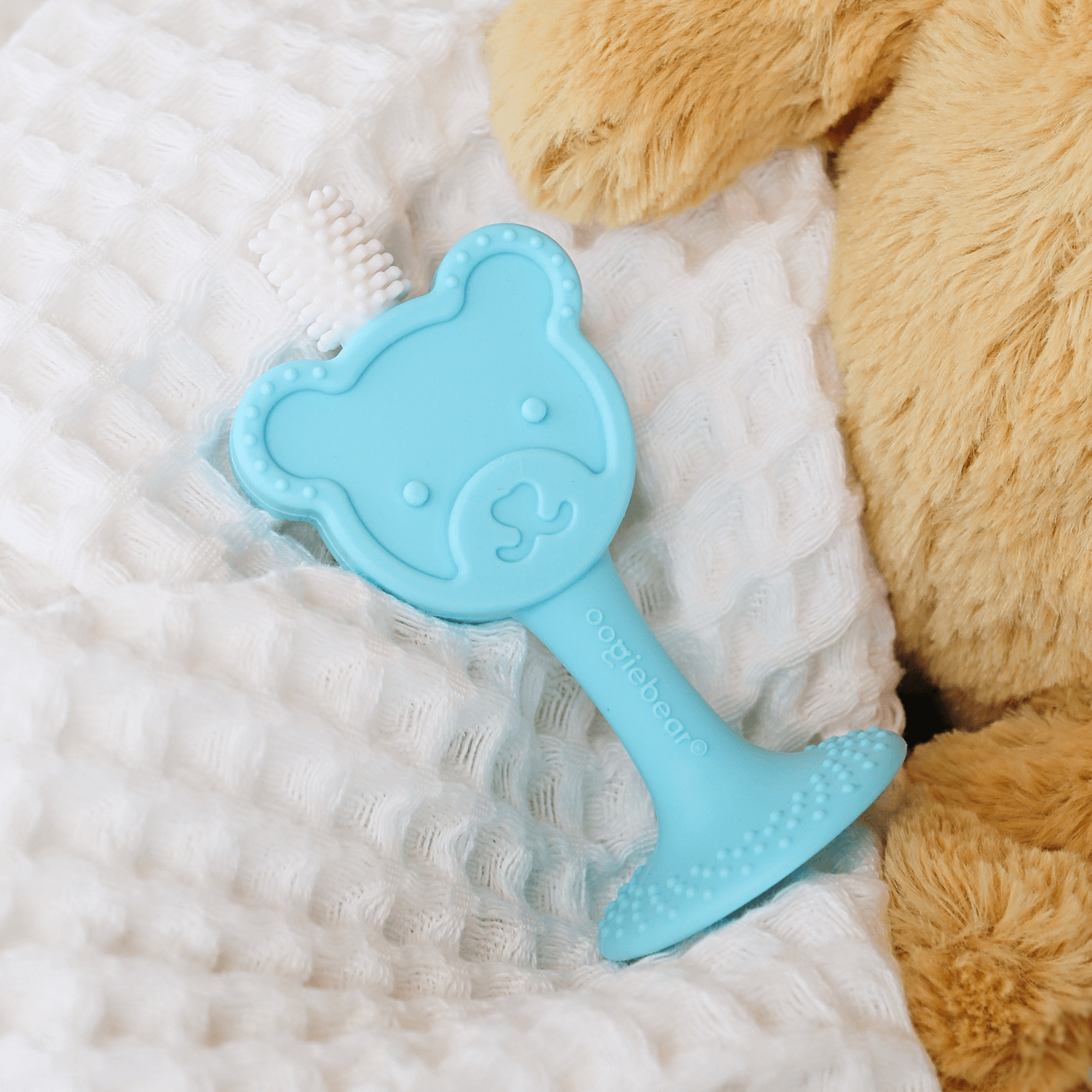 baby training toothbrush & teether