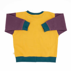Adult Colorblock Sweatshirt
