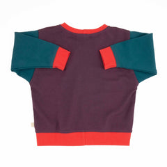 Adult Colorblock Sweatshirt