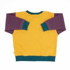 Baby Colorblock Sweatshirt