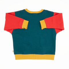 Baby Colorblock Sweatshirt