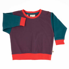 Big Kid Colorblock Sweatshirt