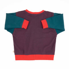 Big Kid Colorblock Sweatshirt