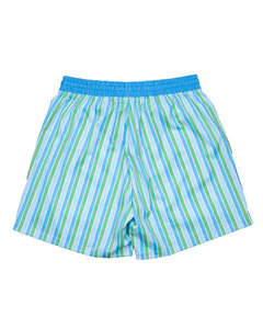 Men's Blue and Green Striped Swim Trunks-FINAL SALE