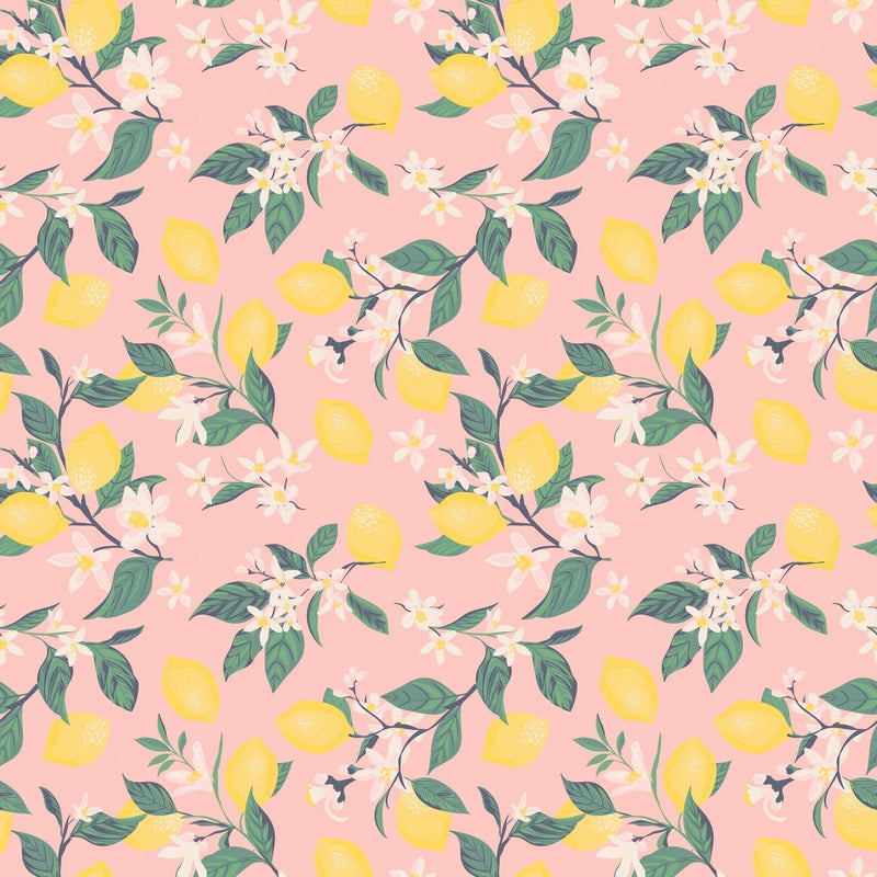 Pink Lemon Floral Print Cap Sleeve Swirly Girl Dress