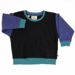 Toddler Colorblock Sweatshirt