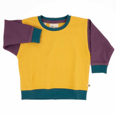 Toddler Colorblock Sweatshirt